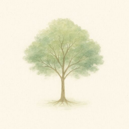 mami-blogのアバター